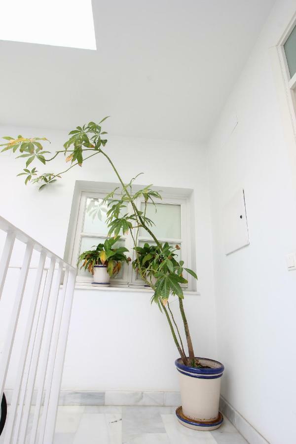 Apartamento Centro San Luis Севілья Екстер'єр фото